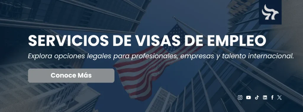 visa tn loigica