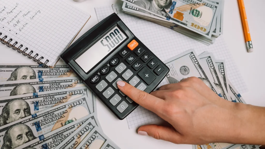 commingling funds LLC piercing the corporate veil