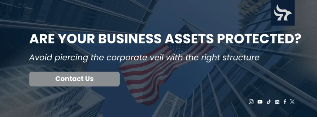 piercing the corporate veil loigica