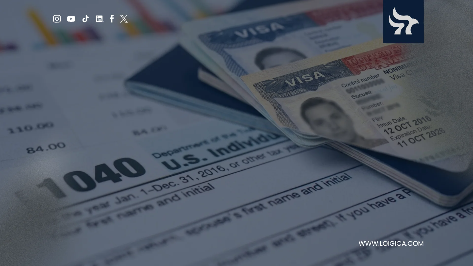 Annual Report visa status